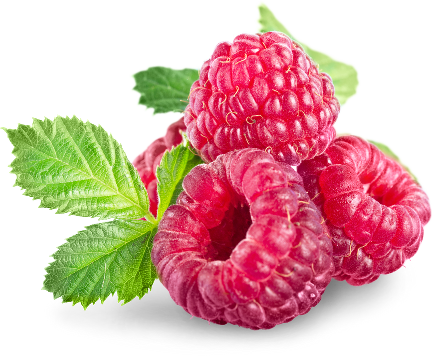 Raspberries with Leaves