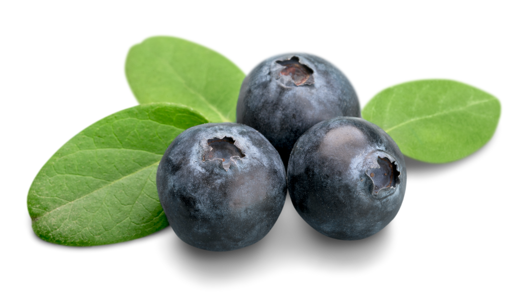 Blueberries